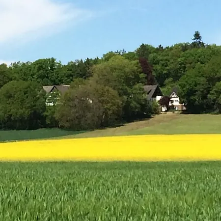 فندق Niedersaechsischer Hof 3*